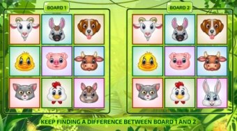 Animals Boards