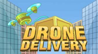 Drone Delivery