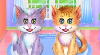 Twin Kitties Spa Caring