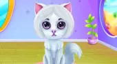 Cute Kitty Caring And Dressup
