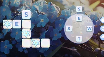 Bubble Letters