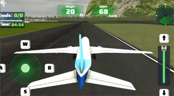 Real Flight Simulator