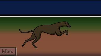 Greyhound Racing Tycoon | Online hra zdarma | Superhry.cz