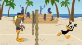 Tricky Duck Volleyball