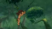 Tarzan v pralese