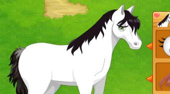 My Pony Park