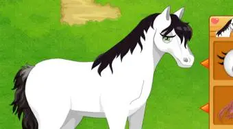 My Pony Park