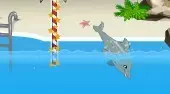 My Dolphin Show 2