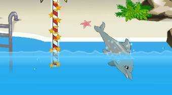 My Dolphin Show 2