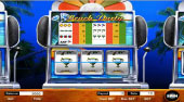 Beach Party Slot Machine | Online hra zdarma | Superhry.cz