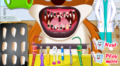 Zvířecí zubař | (Animal Dentist) | Online hra zdarma | Superhry.cz