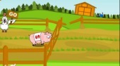 Pig Race