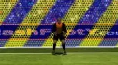 Penalty Fever 3D: World Cup