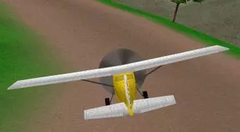 Plane Race