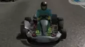 Wild Kart