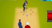 IPL Cricket Ultimate