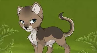 Kitten Maker