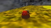 Kiwi 64
