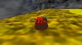 Kiwi 64