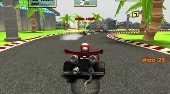 Go Kart Racing