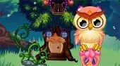 Cute Owl