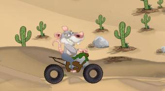 Rat on a Dirt Bike