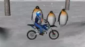 Snow Bike