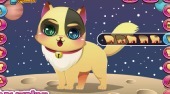 Cute Kitten Creator