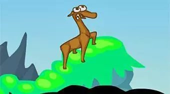Llamas in Distress
