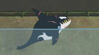 Killer Whale