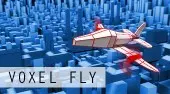 Voxel Fly