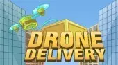 Drone Delivery