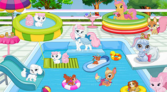 Palace Pets Pool Party