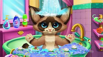 Kitten Bath | Online hra zdarma | Superhry.cz