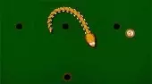 Billiard Snake