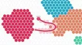 Hexar.io