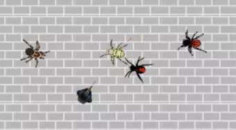 Spider Apocalypse