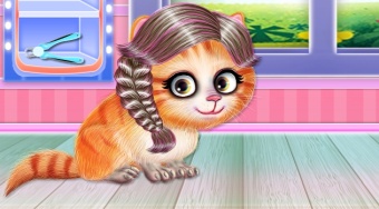 Kitty Hair Salon