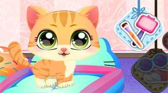Kitty Fun Care | Online hra zdarma | Superhry.cz