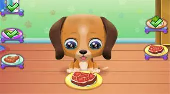 Cute Puppy Care