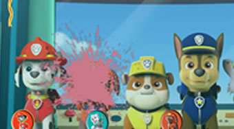 Paw Patrol Smash