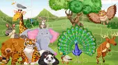 Wild Animals Jigsaw