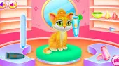 Cute Pets Caring And Dressup