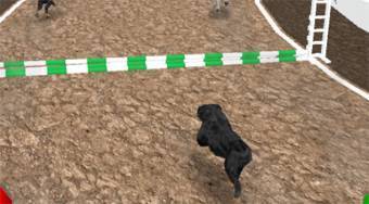 Dog Simulator | (Dog Simulator 3D) | Online hra zdarma | Superhry.cz