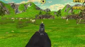 Chicken Shooter