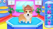 Cute Corgis Caring And Dressup