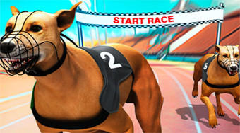 Crazy Dog Racing Fever | Online hra zdarma | Superhry.cz