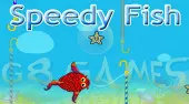 Speedy Fish