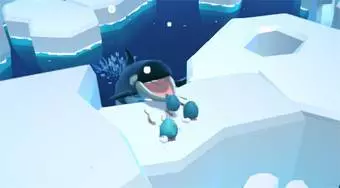 Cuddle Whale