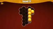 Block Hexa Puzzle